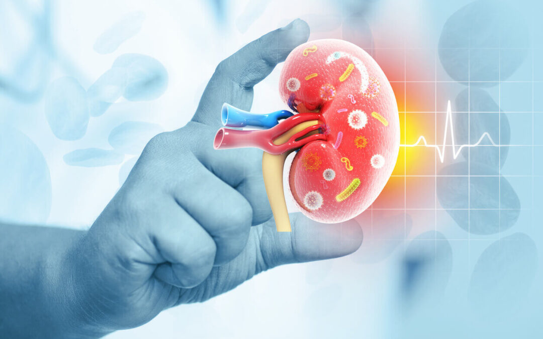 Glomerulonephritis: An Insight into a Key Kidney Disorder